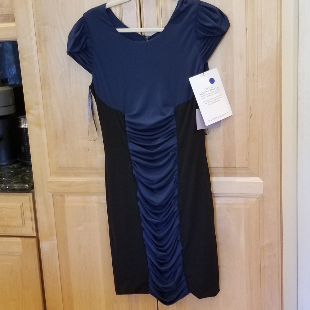 Vera Wang Lavender Label Blue Ruched Dress NWT